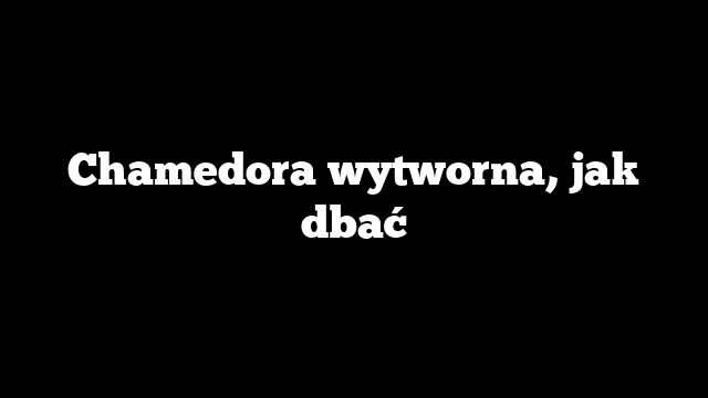 Chamedora wytworna, jak dbać