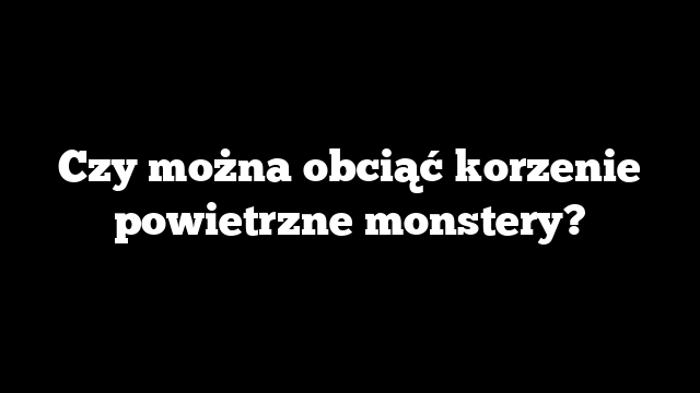 Czy można obciąć korzenie powietrzne monstery?