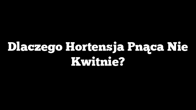 Dlaczego Hortensja Pnąca Nie Kwitnie?