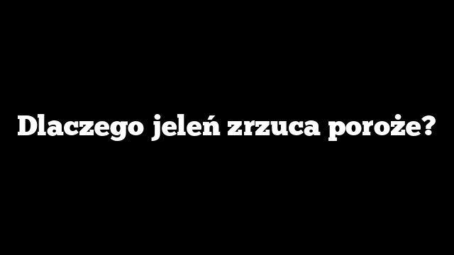 Dlaczego jeleń zrzuca poroże?