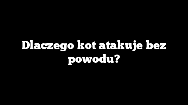Dlaczego kot atakuje bez powodu?