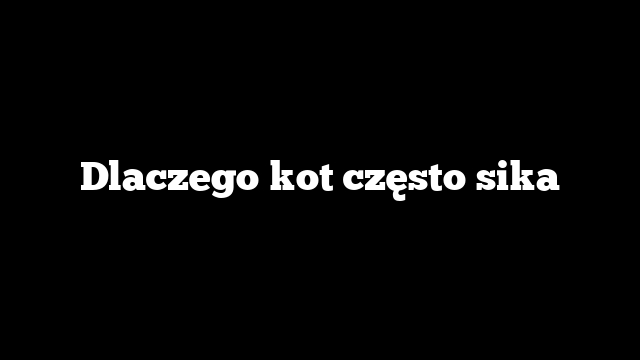 Dlaczego kot często sika