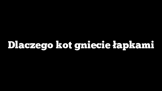 Dlaczego kot gniecie łapkami