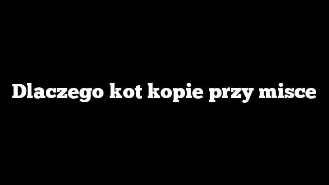 Dlaczego kot kopie przy misce