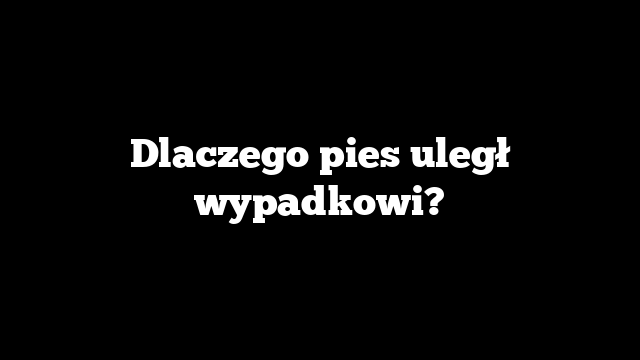 Dlaczego pies uległ wypadkowi?