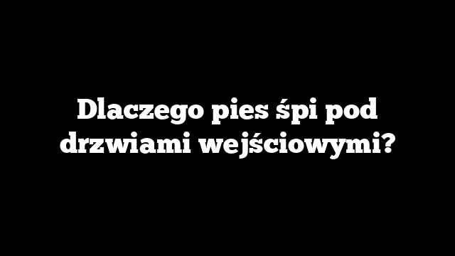 Dlaczego pies śpi pod drzwiami wejściowymi?