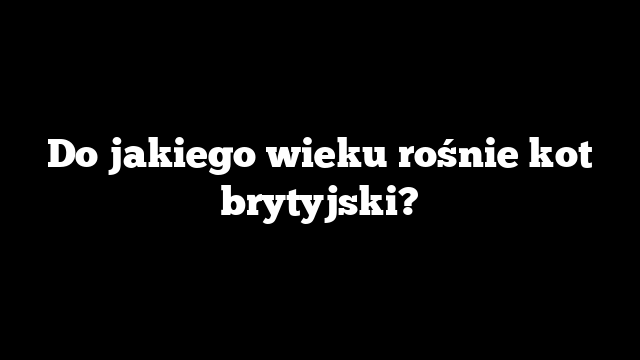 Do jakiego wieku rośnie kot brytyjski?