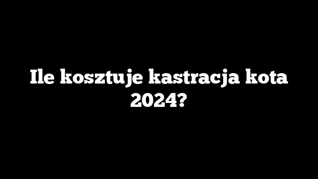 Ile kosztuje kastracja kota 2024?