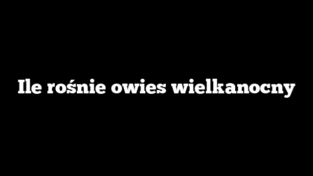 Ile rośnie owies wielkanocny