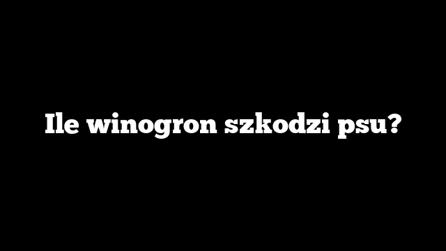Ile winogron szkodzi psu?