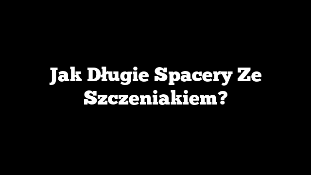 Jak Długie Spacery Ze Szczeniakiem?