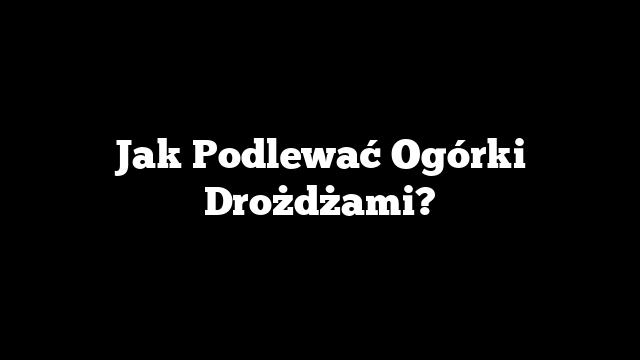 Jak Podlewać Ogórki Drożdżami?