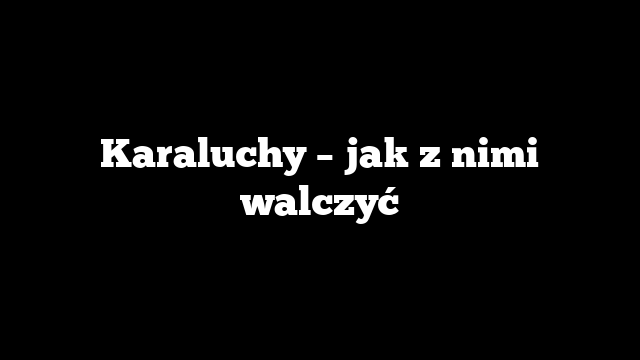 Karaluchy – jak z nimi walczyć