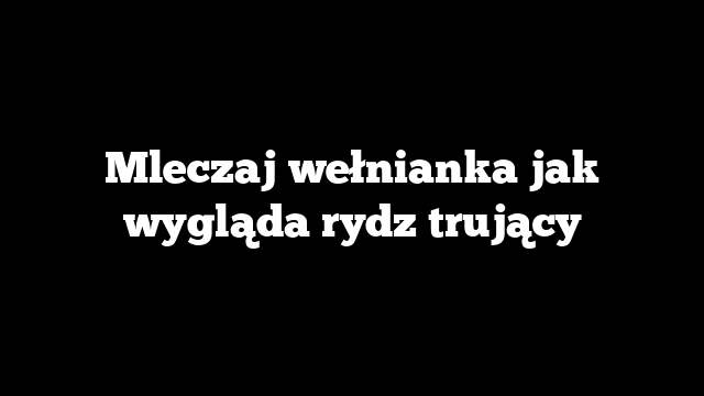Mleczaj wełnianka jak wygląda rydz trujący