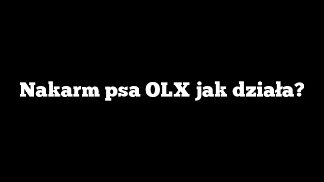 Nakarm psa OLX jak działa?