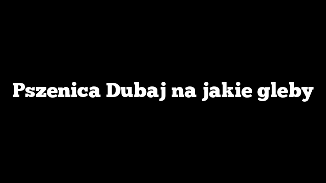 Pszenica Dubaj na jakie gleby