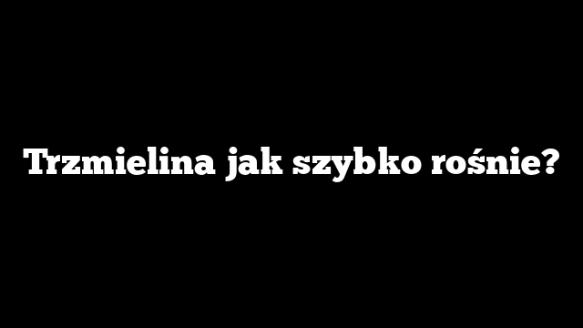 Trzmielina jak szybko rośnie?